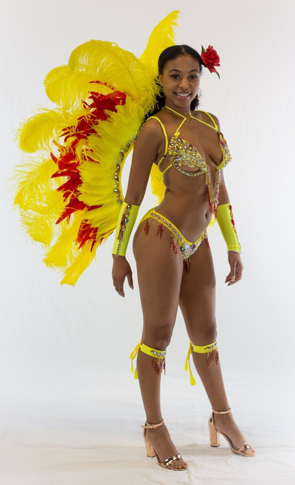 Bling carnival costumes Beautiful Hand Made Samba / Carnival Costume with Feathered Backpack, Samba Sleeves and Embellished Bra and Pantie