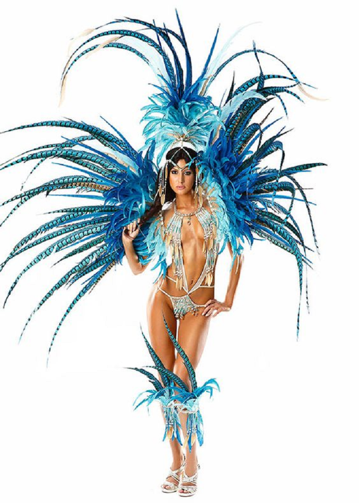 Bling carnival costumes Glittering Bikini 1 Piece Wear with Handmade Wig and Carnival Costume Back Piece